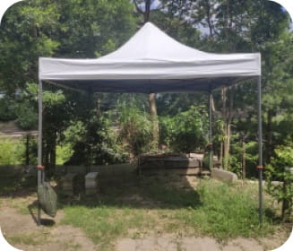 阿里山白帳(圍布)-中